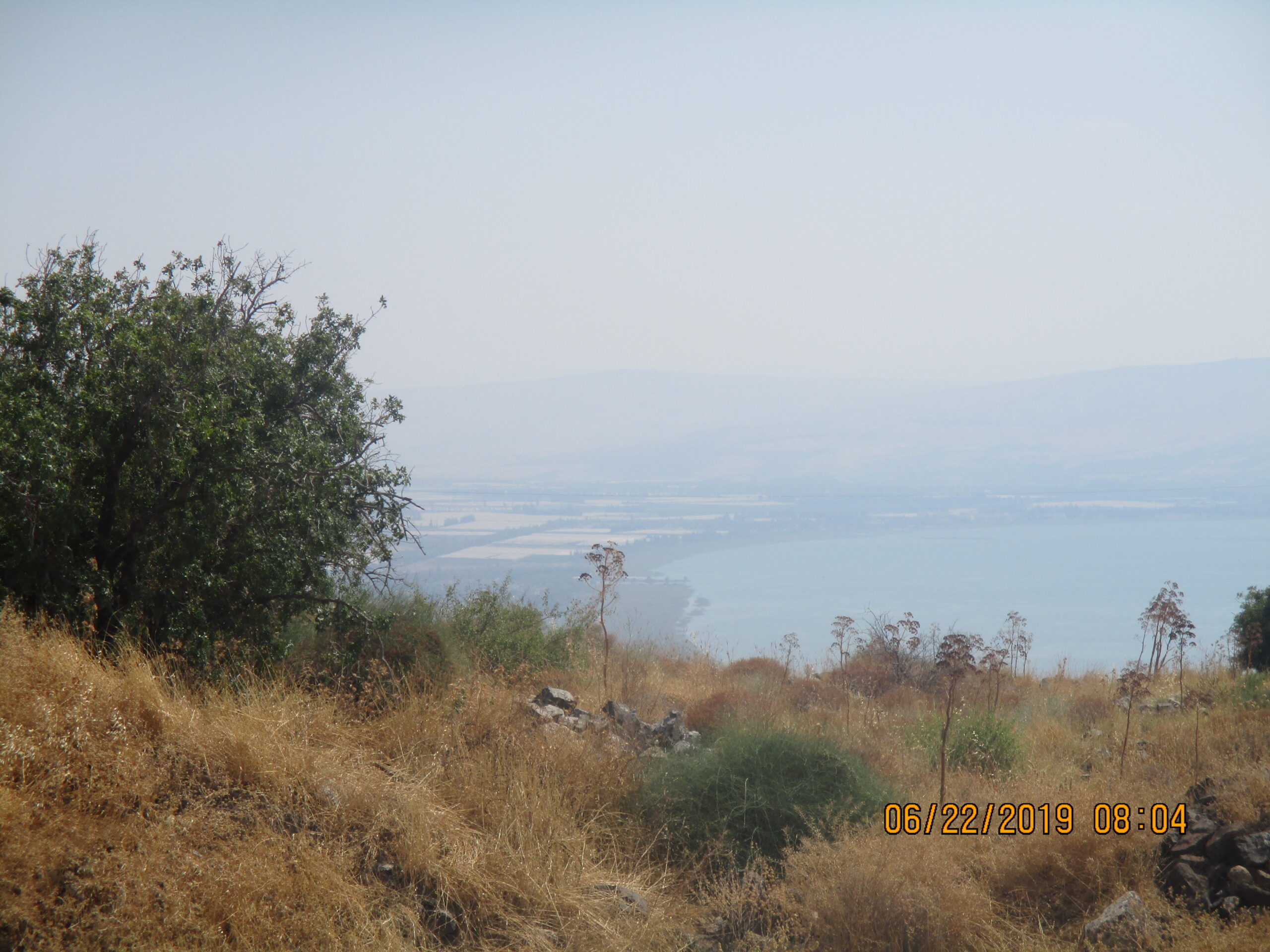 Geography of Israel – Milk and Honey and Spies  Digging into "The Land of Milk and Honey"