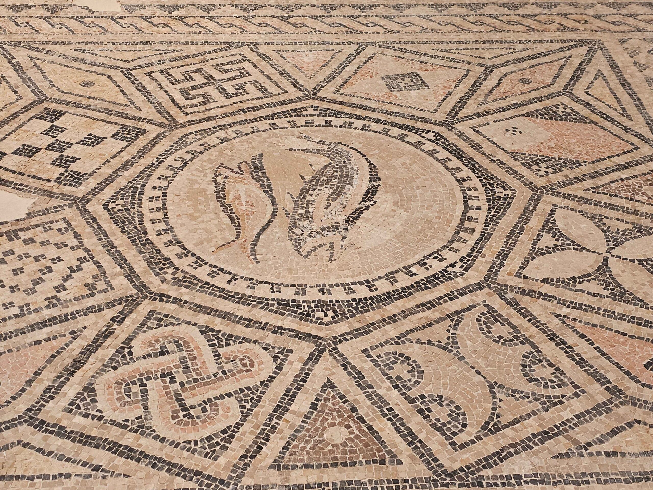 Devoted Messenger, Beloved Brother, Sacrificial Soldier – to the Edge of Death and Back  Epaphroditus